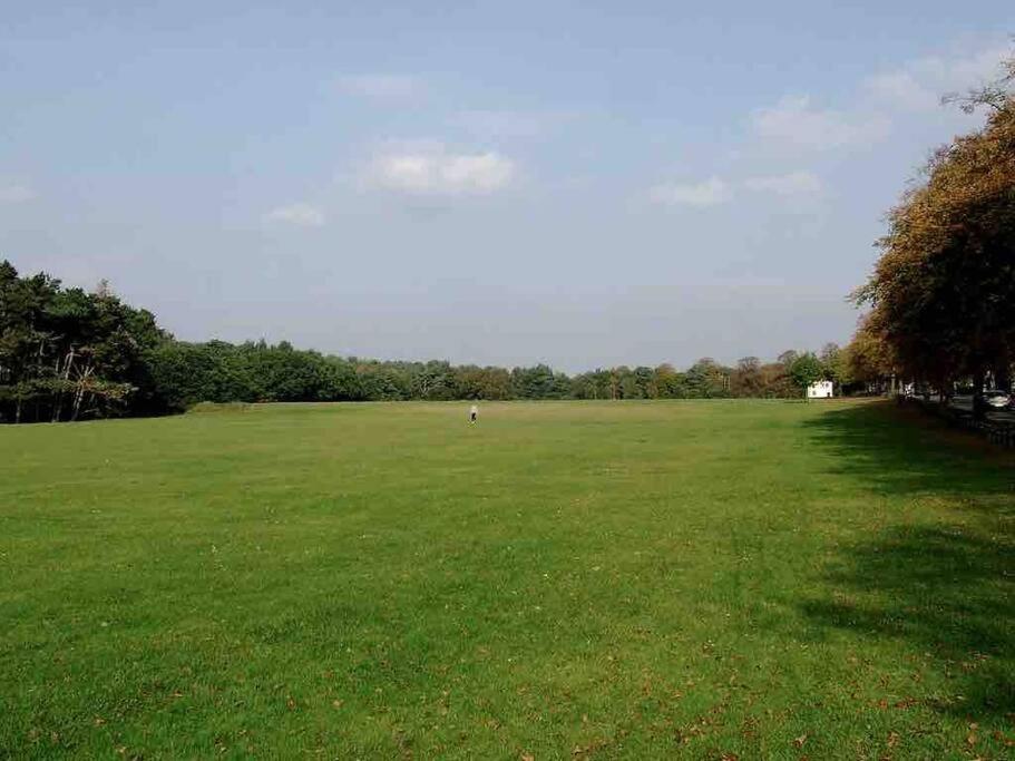 Spacious 4 Bed Rooms, Parking, Garden And Near Parks, Beaches And University Bournemouth Luaran gambar